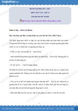 Đề số 1- Đề kiểm tra học kì 2 - Ngữ văn 11